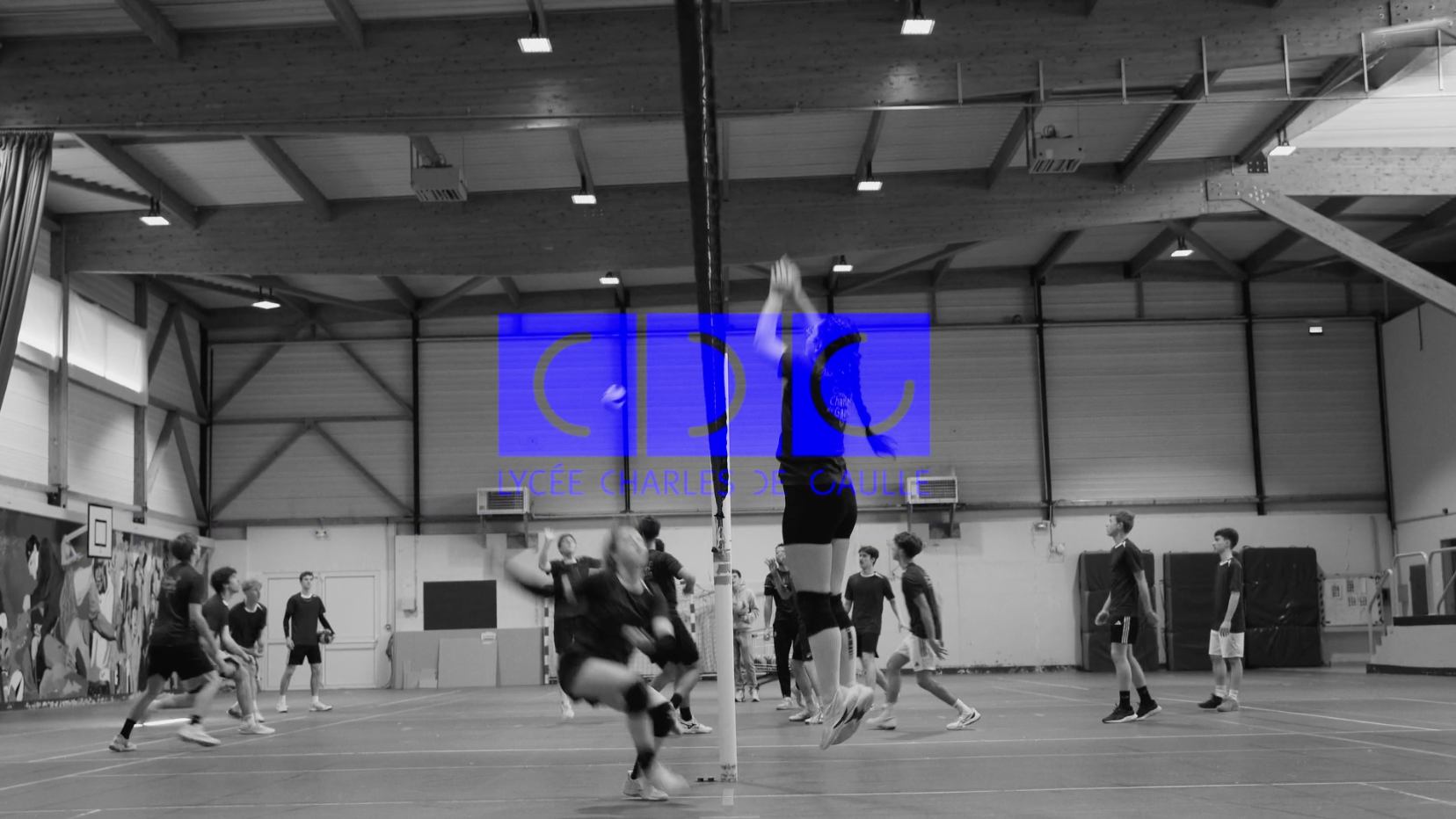 Poster_section_volley